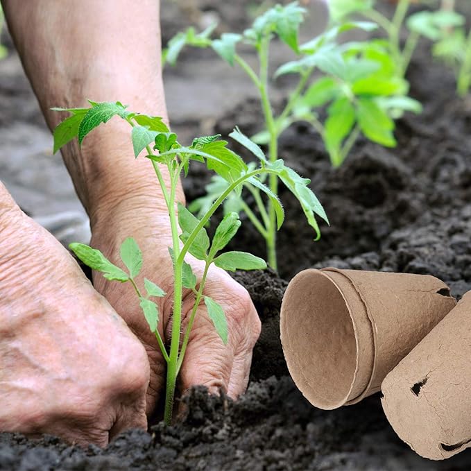 homenote Peat Pots, 60 Pcs 3.15 Inch Seed Starting Pots with Drainage Holes Round Nursery Plants Pots with Bonus 20 Plant Lab