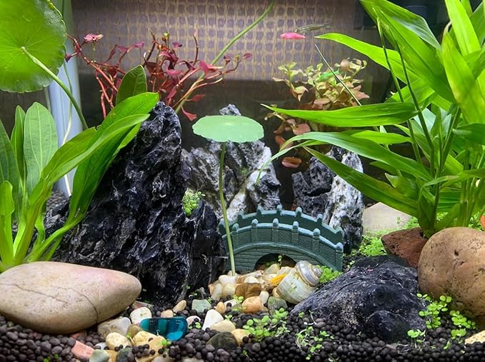 Unocho Aquarium Rocks Natural Seiryu Stone 20lb Aquascaping Rocks for Fish Tank Aquarium Landscaping Decoration Paludarium Amphibian Enclosures(3-10 Inches)