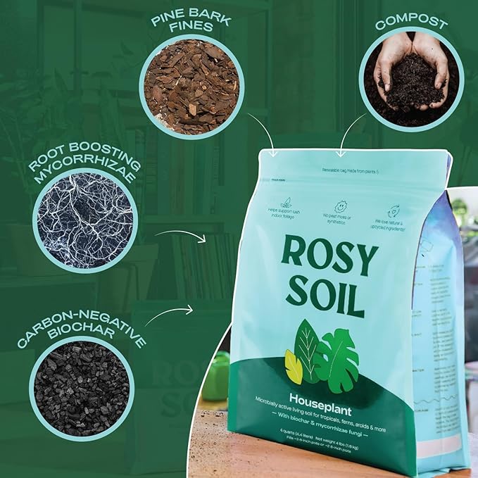Rosy Soil Cactus & Succulent Potting Mix + Indoor Potting Soil - Peat Free House Plant Soil - Mix for Indoor Plants (4 Quarts Each)