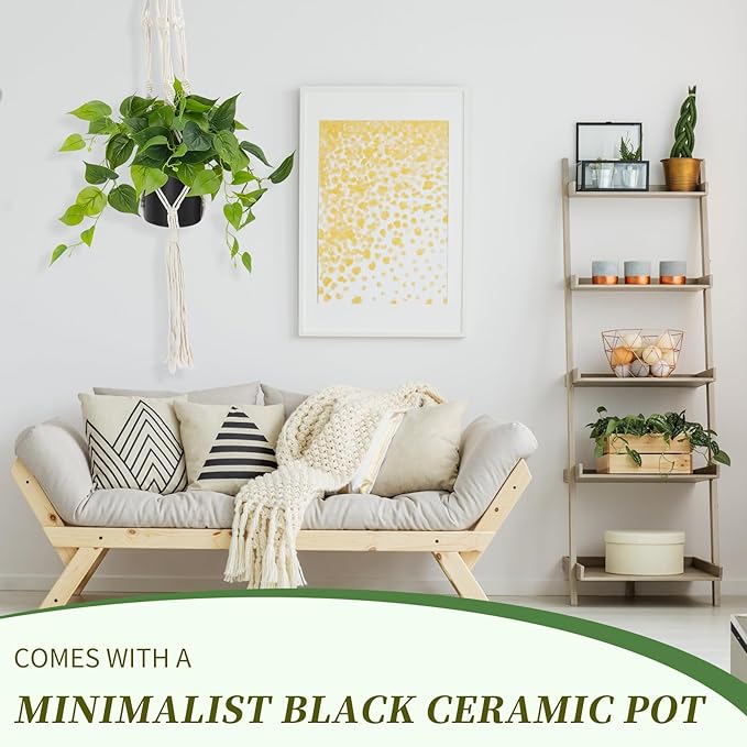 JPSOR Artificial Indoor Plants for Home Decor, 12 inches Pothos in Black Ceramic Pot with Iron Wire, 1 Count