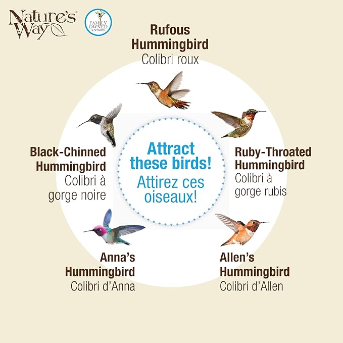 6 Nature's Way Mason Jar Hummingbird Feeders, 6 oz.6