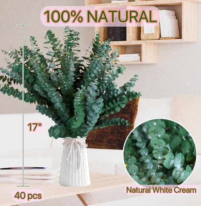 40 Pcs Dried Preserved Eucalyptus Shower Bundle,17" Natural Fresh Hanging Eucalyptus Leaves Stems Real Plant , Vase Filler Home, Wedding Decor