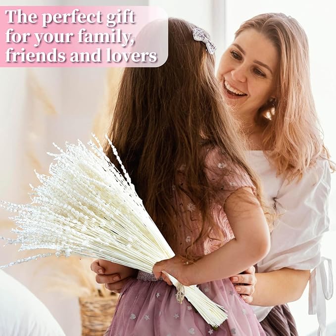 Iory White 180+Stems Dried Lavender Flowers Bundle-15''-17''Real Bleaching Cream White Lavender Bouquet for Home Wedding Boho Party Vase Decor, Crafts, 2 Packs Silk Live Plants