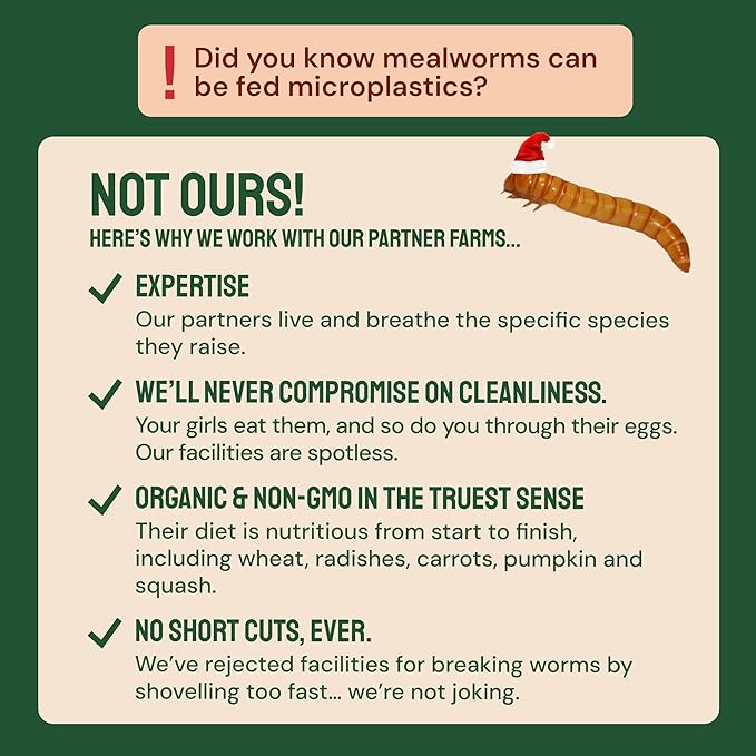 Hatortempt Dried Mealworm Bird Food - 20 Lb Bulk Pack - High Protein Poultry & Chicken Feed - Duck Food & Wild Bird Feed & Quail Treats