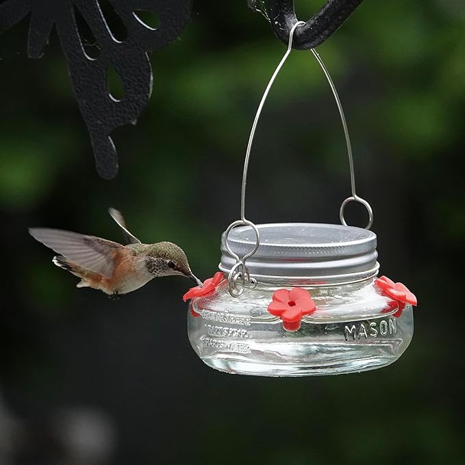 6 Nature's Way Mason Jar Hummingbird Feeders, 6 oz.6
