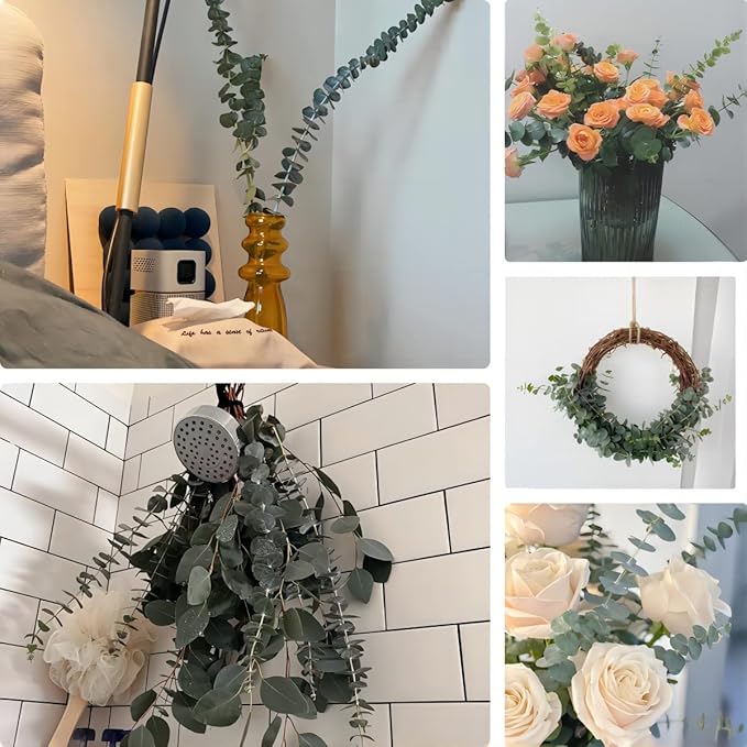 40 Pcs Dried Preserved Eucalyptus Shower Bundle,17" Natural Fresh Hanging Eucalyptus Leaves Stems Real Plant , Vase Filler Home, Wedding Decor
