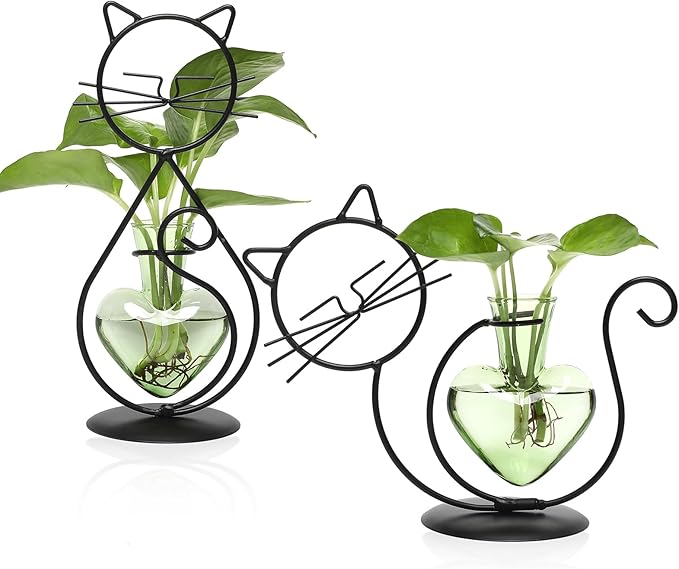 Plant Terrarium Plants Propagation Station Cat Lover Gifts for Women Home Office Decor Cat Desk Accessories