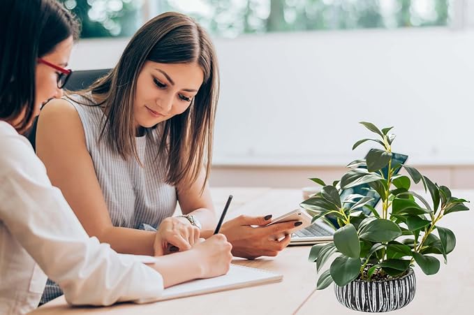 AlphaAcc Artificial Plants Decor Greenery Fake Succulents Indoor Potted Fake Plant with Rustic Black Clay Planter for Farmhouse Room Bathroom Bedroom Kitchen Office Table Desk Decor