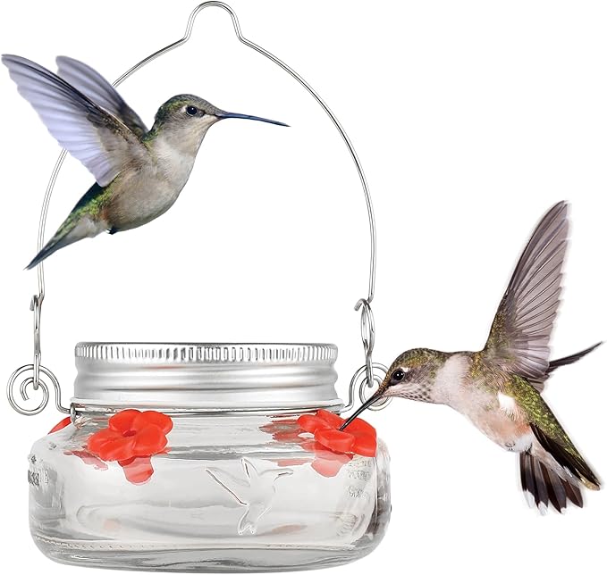 Nature's Way Bird Products MJF1 Nature's Way Mason Jar Hummingbird Dish Feeder, Clear