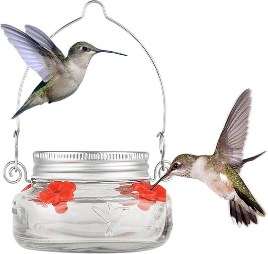 Nature's Way Bird Products MJF1 Nature's Way Mason Jar Hummingbird Dish Feeder, Clear
