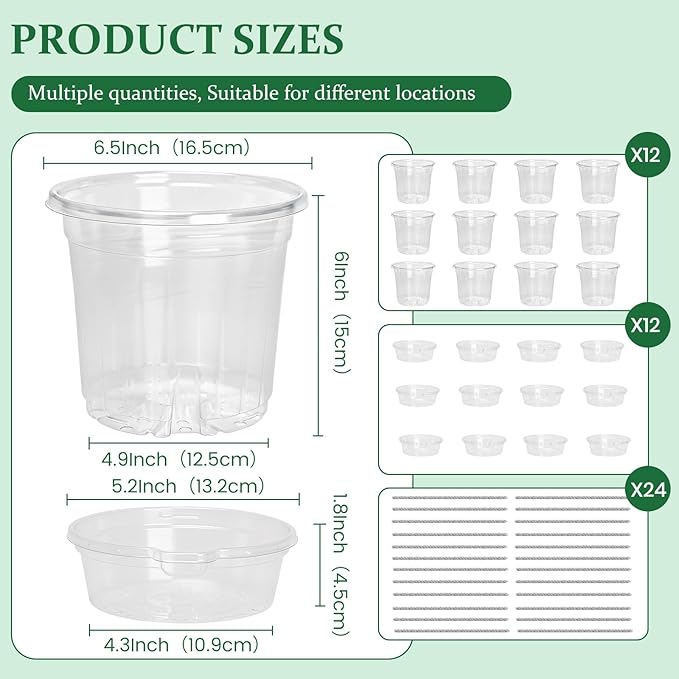 12 Pack 6.5 Inch Clear Self Watering Plant Pots with Bottom Water Tray & Watering Rope, Transparent Nursery Pots with Drainage for Seedlings, Herbs, and Houseplants