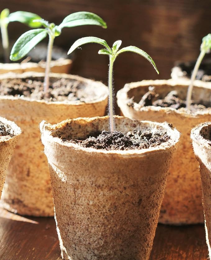 homenote Peat Pots, 60 Pcs 3.15 Inch Seed Starting Pots with Drainage Holes Round Nursery Plants Pots with Bonus 20 Plant Lab