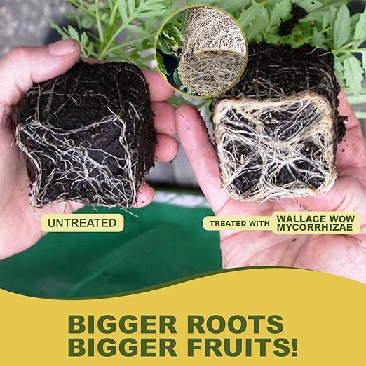 Wallace Organic Wonder Mycorrhizal Inoculant (10 lbs) - Mycorrhizal Fungi - Super Concentrated - Fresh Mycorrhizae for Plants, Garden Soil, & Potting Soil - Organic Root Stimulator for Plant Growth