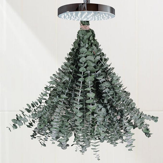 16 Pcs Preserved-Dried-Eucalyptus-Branches,17" Real Natural Fresh Eucalyptus Plant for Shower, Real Eucalyptus Bunch for Vase Filler, Greenery Stem, Dried Flowers Arrangement, Floral Home Decor