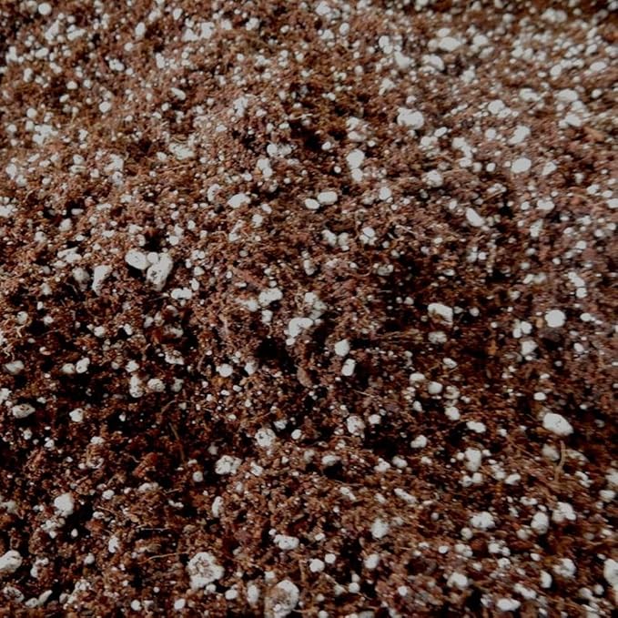 Roots Organics ROGF Green Fields Hydroponic Nutrient-Based Gardening Potting Soil for Plants, Flowers, and Outdoor Gardens, 1.5 Cu Ft