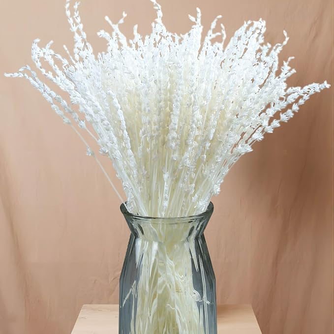 Iory White 180+Stems Dried Lavender Flowers Bundle-15''-17''Real Bleaching Cream White Lavender Bouquet for Home Wedding Boho Party Vase Decor, Crafts, 2 Packs Silk Live Plants