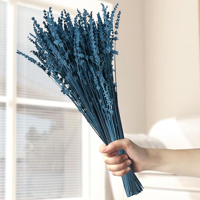 Dried Preserved Lavender Flowers Bundle, 100% Natural Dried Lavender Bouquet 15-17" for Crafts, Shower, Weeding and Home Decor, Aromatherapy, Fragrance, Fresh, Dry (Blue-1.76oz)