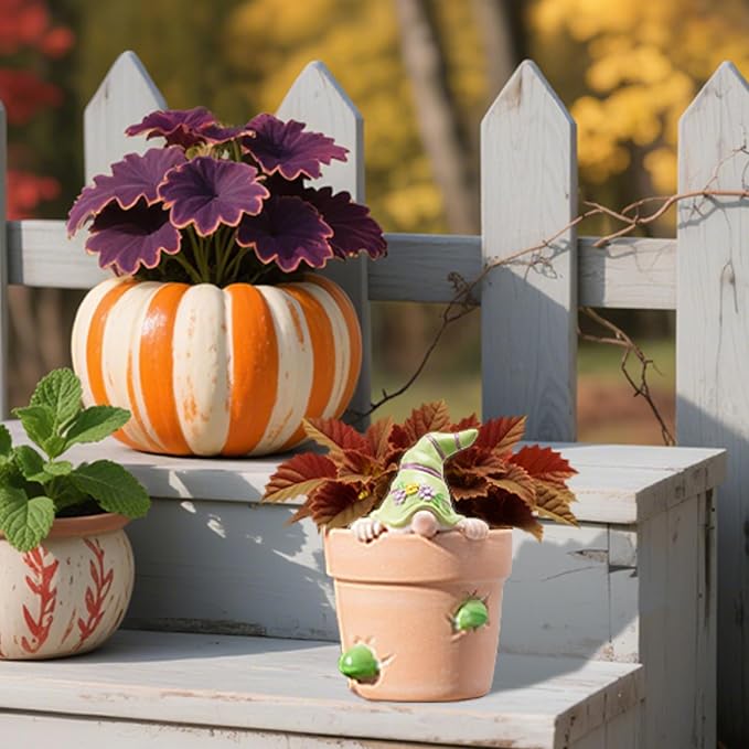 Newman House Studio Flower-Pot Spring-Gnomes Easter Decorations Cactus-Succulents - Unique Garden Pots Easter Decorative Green Planter with Drainage Hole for Home Farmhouse Decor 3 x 3.25 x 4.5 inch