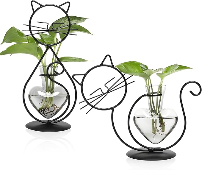 Plant Terrarium Plants Propagation Station Cat Lover Gifts for Women Home Office Decor Cat Desk Accessories