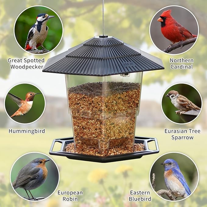 Bird Feeder for Outdoors Hanging,Black Hanging Wild Bird Feeders with S Hook for Blue Bird, Cardinals, Finches,Wild Birds Seed Feeder, As Gift for Bird Lovers