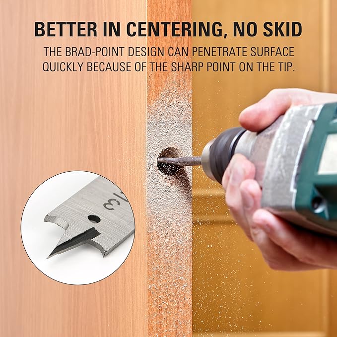 Greenworks 11 Pcs Wood Drilling Set for Woodworking, Plywood, Particle board, Fiberboard (Including Hex Shank Spade Bits & Brad Point Drill Bits)