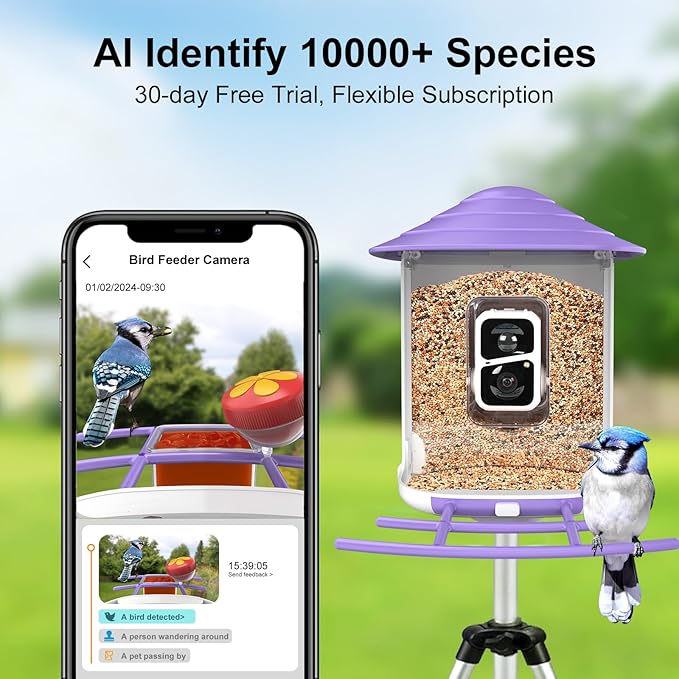birdsnap® TUC Bird Feeder with Camera 2K HD, Solar Panel 32GB Card 4-in-1 Perch, 160°View Auto Detect & Notify AI Identify Video Bird Camera Wireless Outdoors Ideal Gift for Birds Lover