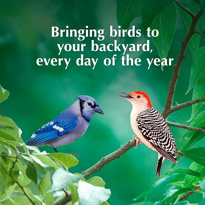 C&S Peanut Butter Delight 581 8/11.75OZ