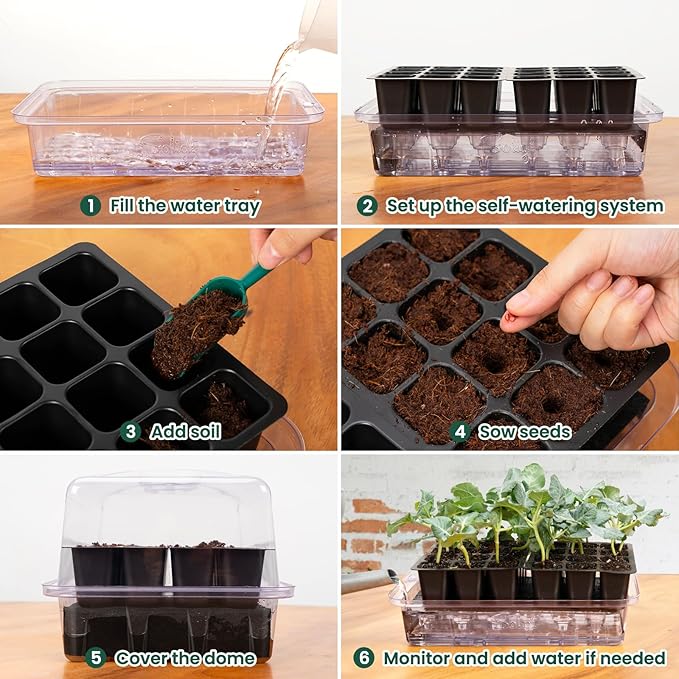 SOLIGT Self Watering Seed Starter Trays with Humidity Domes, Extra Thick Plastic Seed Starter kit for Seed Starting, Plant Germination & Seedling Growing, 6 Pack 144 Cells