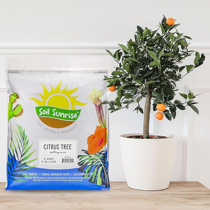 Soil Sunrise Citrus Tree Potting Soil Mix (12 Quarts) Special Blend for Indoor Oranges, Lemons, Limes and More
