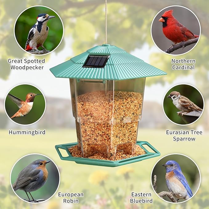 Solar Bird Feeder for Outdoors Hanging,Green Hanging Wild Bird Feeders with S Hook for Blue Bird, Cardinals, Finches,Wild Birds Seed Feeder, As Gift for Bird Lovers