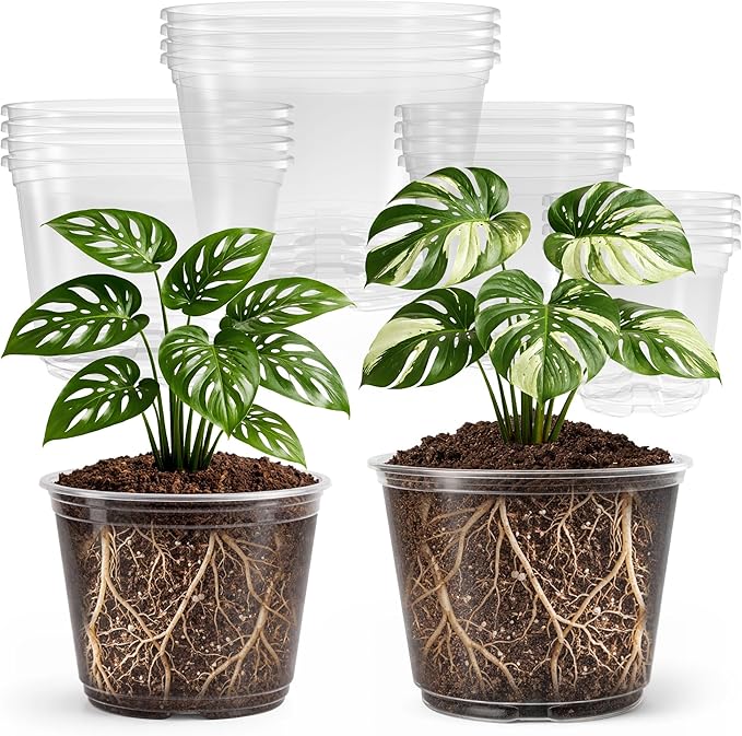 16 Pack 10/8/6/5 Inch Reinforced Large Clear Nursery Pots with Drainage Holes, Transparent Variety Pack Plastic Plant Pot for Vegetable Propagation, Root Cutting, Seed Starting