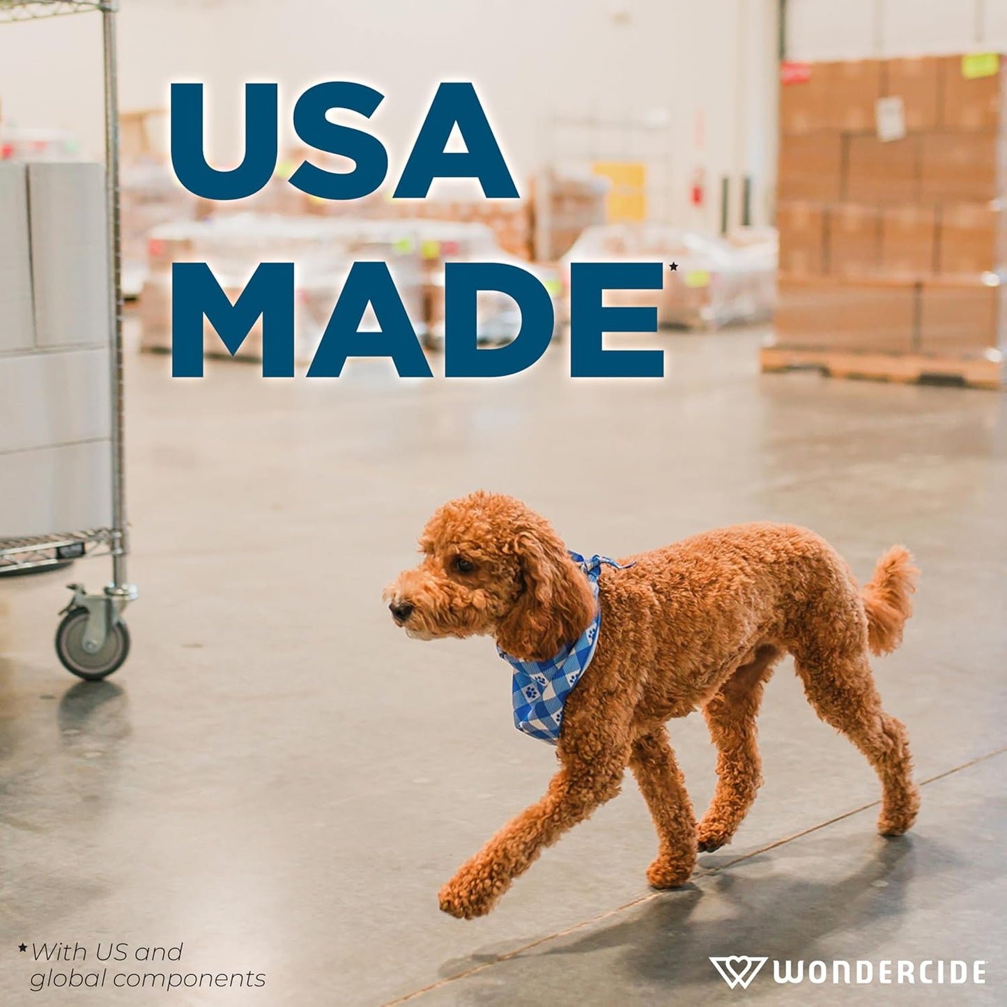 Wondercide - Mosquito, Tick, and Insect Repellent with Natural Essential Oils - DEET-Free Bug Spray and Killer - Safe for Family - Rosemary 2-Pack of 4 oz Bottle