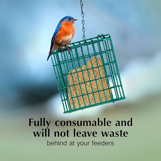 C&S MEALWORM Delight 583 8/11.75OZ