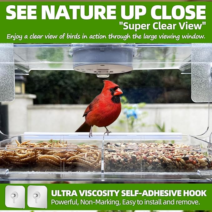 Window Bird Feeder with Non-Marking Self-Adhesive Hooks, Clear and Transparent, Outdoor Wild Bird Watching Gift, Garden Decor (with Solar Light)