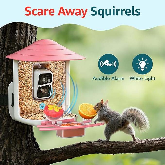birdsnap® TUC Bird Feeder with Camera 2K HD, Solar Panel 32GB Card 4-in-1 Perch, 160°View Auto Detect & Notify AI Identify Video Bird Camera Wireless Outdoors Ideal Gift for Birds Lover