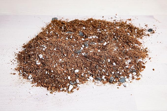 rePotme All Purpose Potting Soil for Indoor and Outdoor Plants, Organic and Made in The USA, Houseplant and Tropical Classic Potting Mix (Mini Bag)