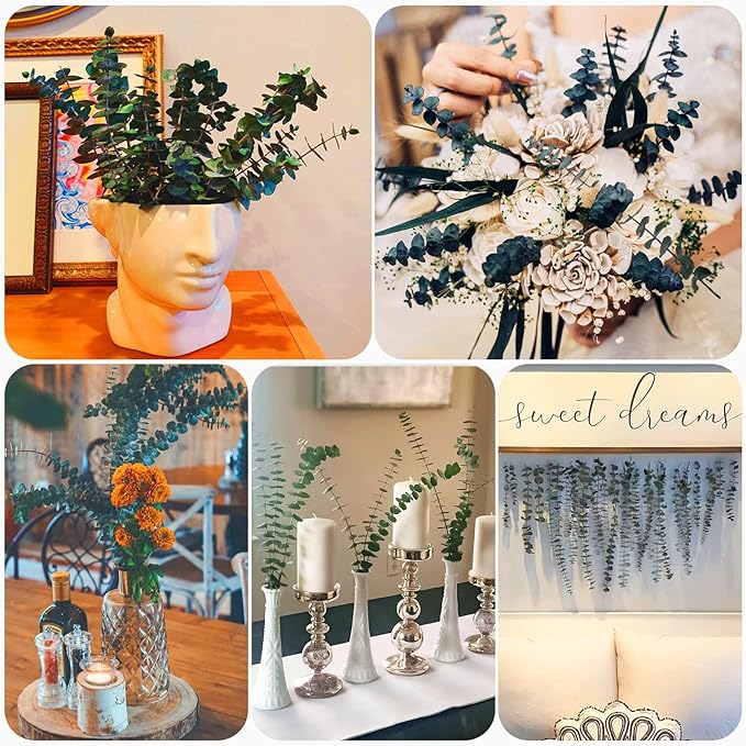 16 Pcs Preserved-Dried-Eucalyptus-Branches,17" Real Natural Fresh Eucalyptus Plant for Shower, Real Eucalyptus Bunch for Vase Filler, Greenery Stem, Dried Flowers Arrangement, Floral Home Decor