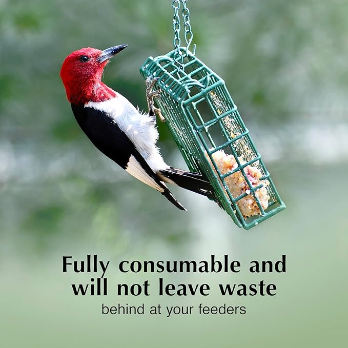 C&S Orange Delight No Melt Suet Dough, Suet Cakes for Wild Birds, 11.75 Ounces, Pack of 8