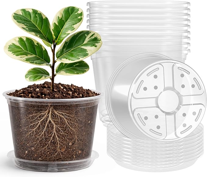 8 Packs 8 Inch Reinforced Large Clear Nursery Pots with Sacuers, Transparent Plastic Plant Pot Seedling Planter with Drainage Holes for Vegetable Propagation, Root Cutting, Seed Starting