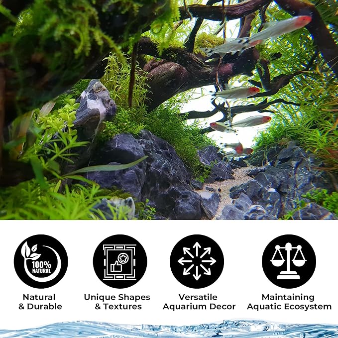 Aquarium Rocks & Driftwood Decor Kit, 2-8 Inches Natural Seiryu Stone 4 PCS for Aquascaping, 6-10 Inches Natural Driftwood 2 PCS for Fish Tank Decoration, Reptile and Amphibian Enclosures