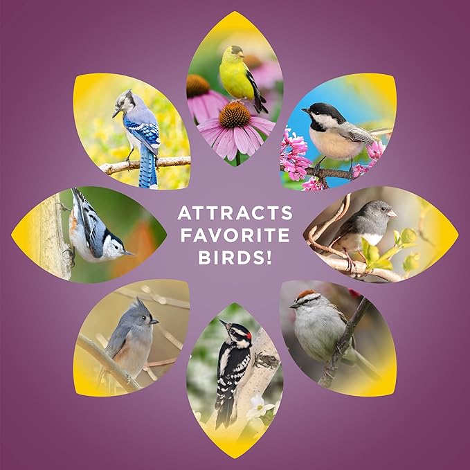 Audubon Park Nut & Fruit Snack Stack Wild Bird Food, Bird Seed Cake for Outside Feeders, 6-Pack