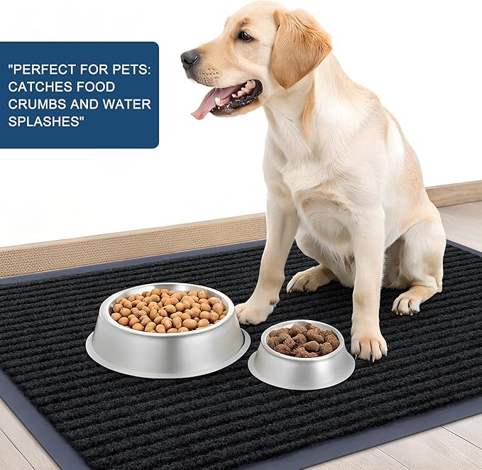 OLANLY Front Door Mat Indoor Outdoor Entrance, Waterproof Heavy Duty Doormat, Fade Resistant, Low Profile, Easy Clean Patio Porch Welcome Floor Mats for Entry, 59x40, Black