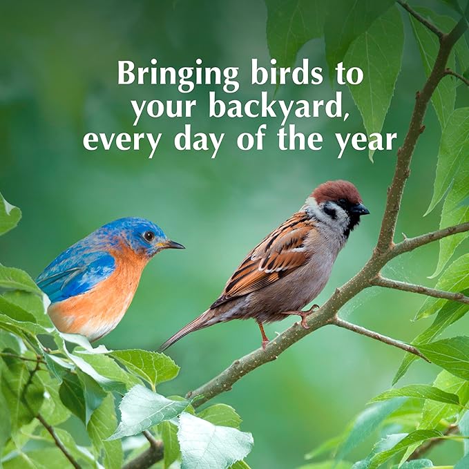 C&S MEALWORM Delight 583 8/11.75OZ