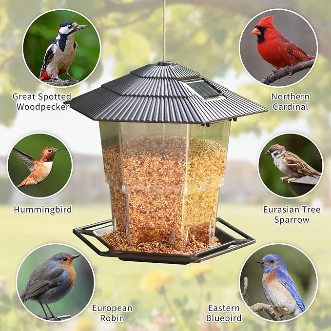 Solar Bird Feeder for Outdoors Hanging,Black Hanging Wild Bird Feeders with S Hook for Blue Bird, Cardinals, Finches,Wild Birds Seed Feeder, As Gift for Bird Lovers