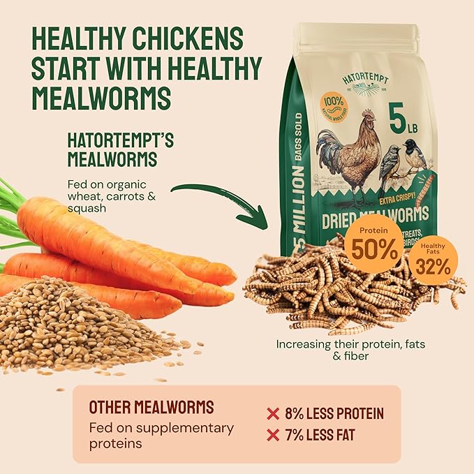Hatortempt Dried Mealworms - 5 Lb, Non-GMO & Organic - High-Protein Mealworms for Wild Birds & Ducks, Chicken & Bird Food
