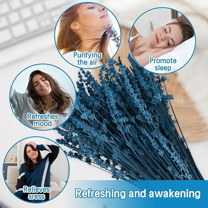 Dried Preserved Lavender Flowers Bundle, 100% Natural Dried Lavender Bouquet 15-17" for Crafts, Shower, Weeding and Home Decor, Aromatherapy, Fragrance, Fresh, Dry (Blue-1.76oz)