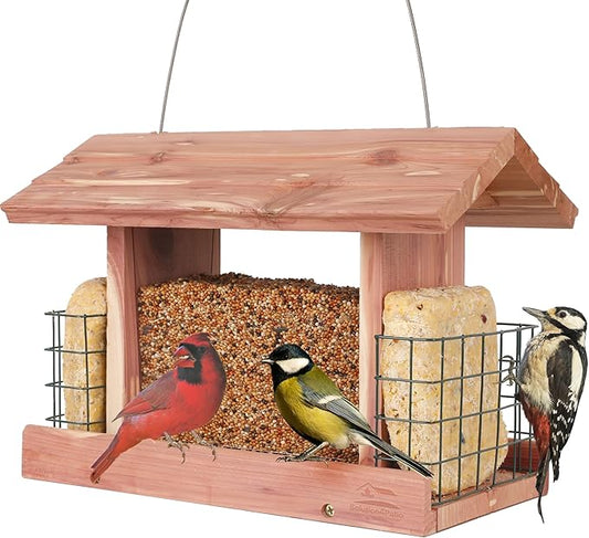 Solution4Patio US Cedar Hopper Bird Feeder for Outdoors Hanging, Handcrafted Wood Double Suet Cage & Clear View Windows, Squirrel-Proof Wild Bird Feeder for Cardinals, Finches, Chickadees