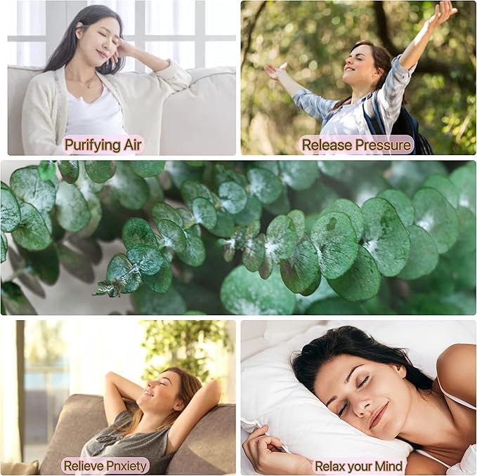 40 Pcs Dried Preserved Eucalyptus Shower Bundle,17" Natural Fresh Hanging Eucalyptus Leaves Stems Real Plant , Vase Filler Home, Wedding Decor