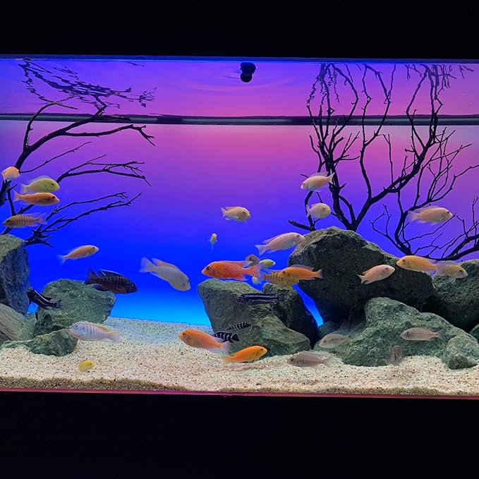 CURRENT USA 48-60" Inch Serene Aquarium Visual and Audio Aquatic Experience Kit with LED Aquarium Light, LED Background Light, Frosted Background Film & Speaker for Fish Tank (4027)