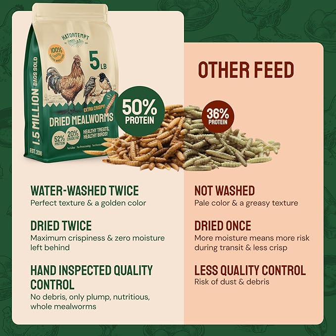 Hatortempt Dried Mealworms - 5 Lb, Non-GMO & Organic - High-Protein Mealworms for Wild Birds & Ducks, Chicken & Bird Food